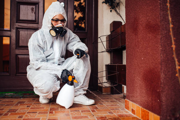 Reliable Mosquito Control contractor in Westlake, OH by Show Me Pest Control